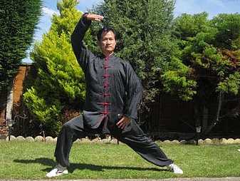 Professor Dr. Yuhong Xie Qigong Meister bei Übungen